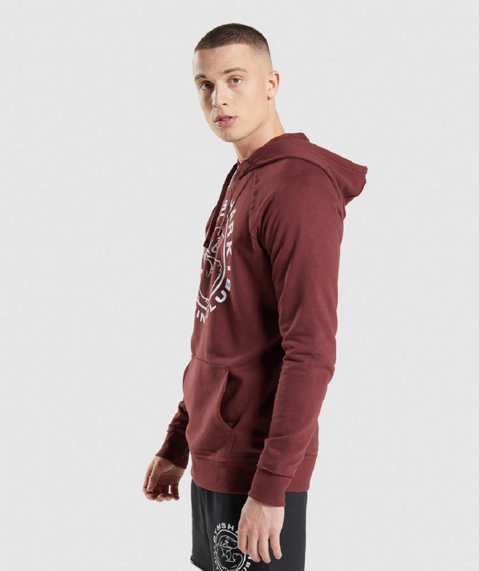 Sudadera Con Capucha Gymshark Legacy Hombre Rosas Marrones | CO 3629WNB